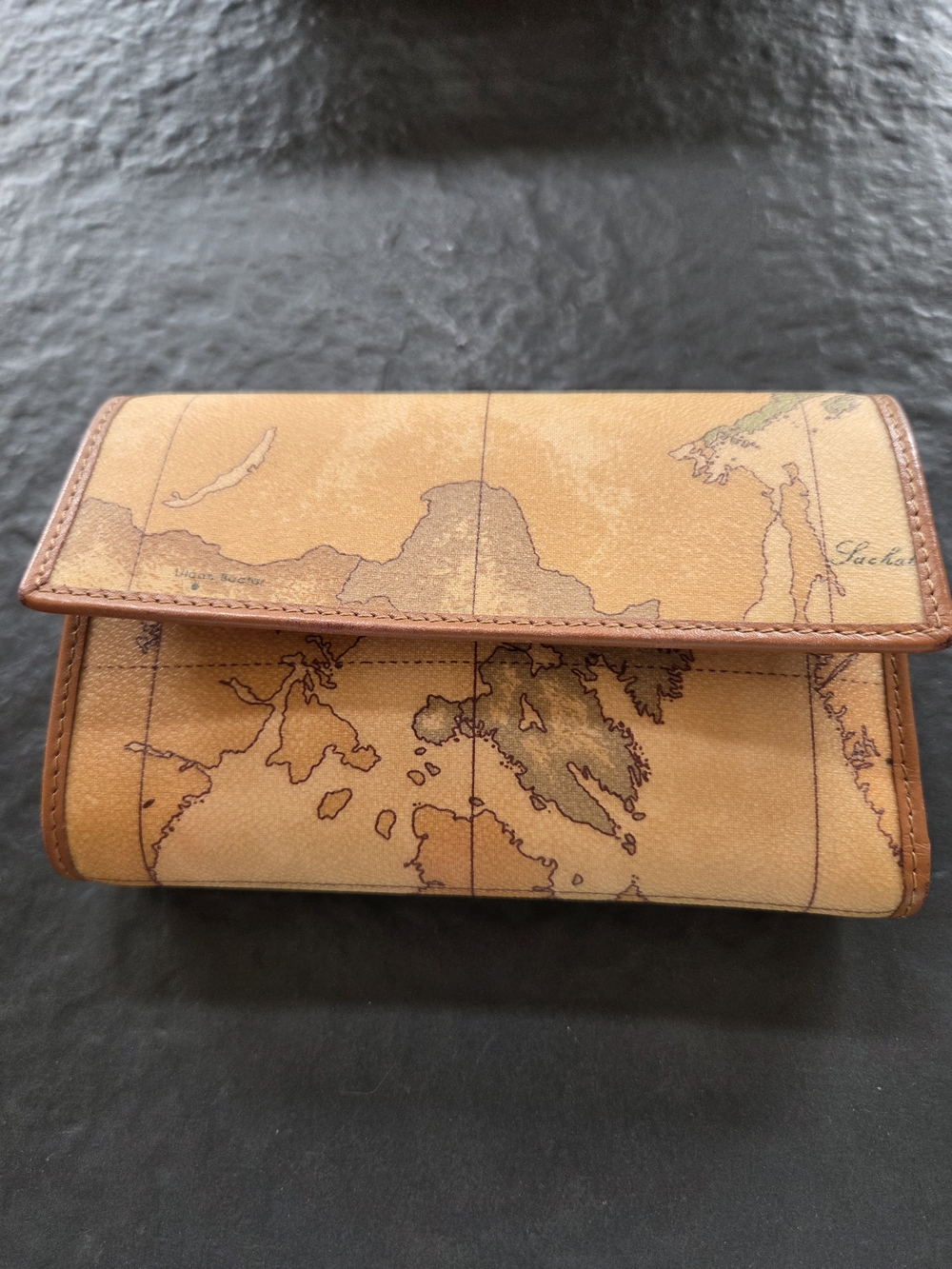 Alviero Martini Map-Print Wallet in Tan with Brown Trim